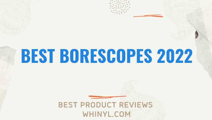 best borescopes 2022 8139
