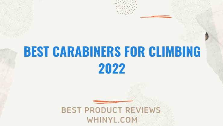 best carabiners for climbing 2022 11543