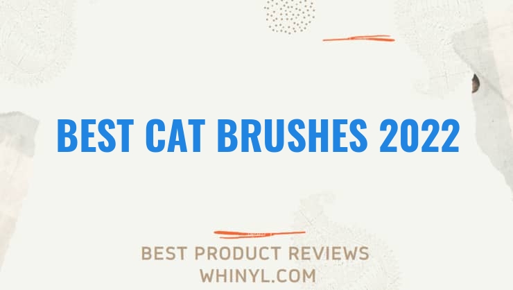 best cat brushes 2022 8501