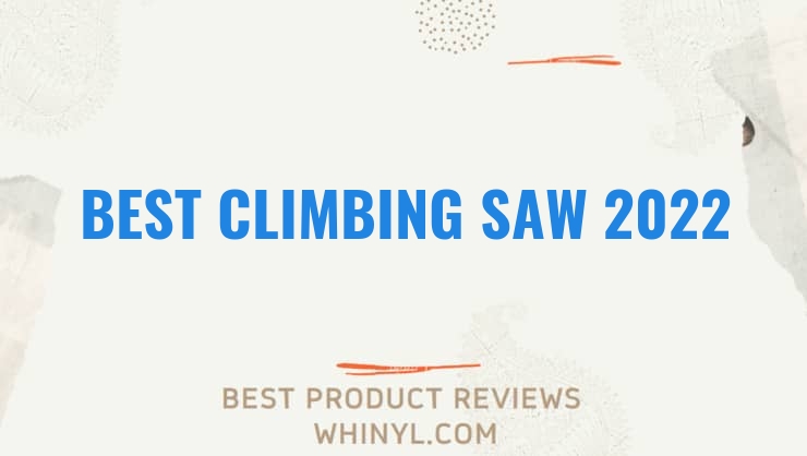 best climbing saw 2022 11582